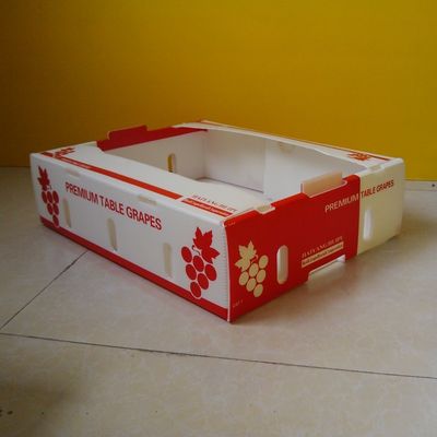 Πολυπροπυλένιο 5mm ζαρωμένα κιβώτια για τη συσκευασία φρούτων αδιάβροχη