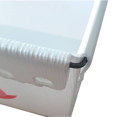 Coroplast 3mm USPS που στέλνουν πλαστικό ελαφρύ ανθεκτικό Totes