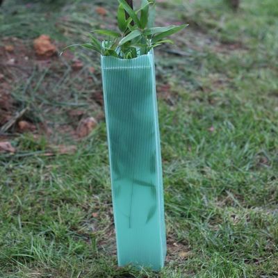 Ζαρωμένο Corflute πλαστικό περικάλυμμα 2mm δέντρων σκληρές πλαστικές φρουρές δέντρων