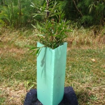 Ζαρωμένο Corflute πλαστικό περικάλυμμα 2mm δέντρων σκληρές πλαστικές φρουρές δέντρων