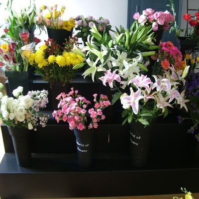 Η μαύρη στάση επίδειξης Coroplast Floral PP ζάρωσε το πλαστικό βήμα 4 ανθεκτικό