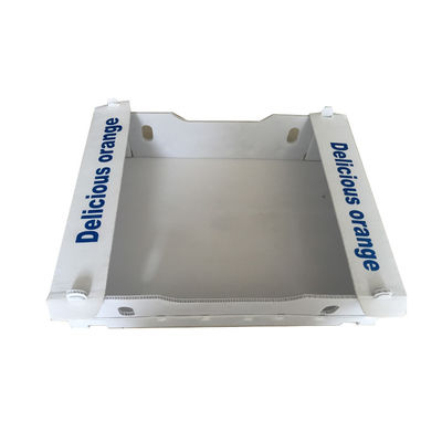Πλήρη στέλνοντας κιβώτια Coroplast χρώματος 3mm 4mm πτυσσόμενα ζαρωμένα πλαστικά κιβώτια