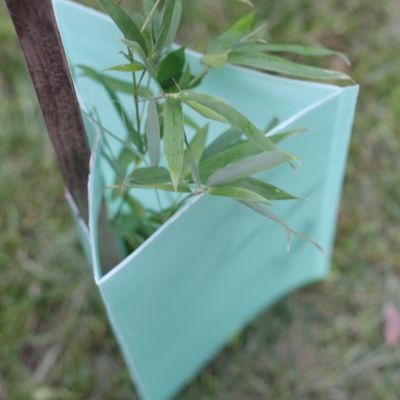 2mm ζαρωμένοι Corflute δέντρων φρουρών προστάτες κορμών δέντρων τριγώνων πλαστικοί