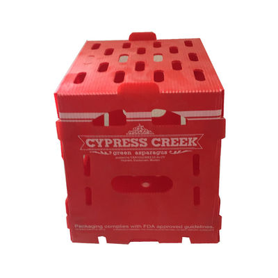 Κοίλο πλαίσιο 5mm Velcro PP ζαρωμένο πλαστικό κόκκινο κύκλου εργασιών κιβωτίων συσκευασίας