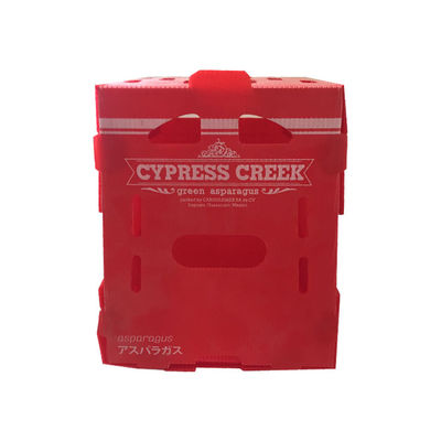 Κοίλο πλαίσιο 5mm Velcro PP ζαρωμένο πλαστικό κόκκινο κύκλου εργασιών κιβωτίων συσκευασίας