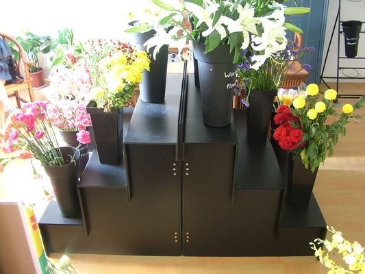 Ζαρωμένη πλαστική Floral στάση επίδειξης 3 βήμα 4 βήμα για το ανθοπωλείο