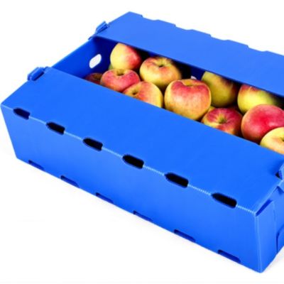 Μπλε Coroplast Apple υγρασία πολυπροπυλενίου κιβωτίων φρούτων συσκευάζοντας ανθεκτική
