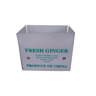Custom Plastic Turnover Box PP Hollow Box για αποθήκευση