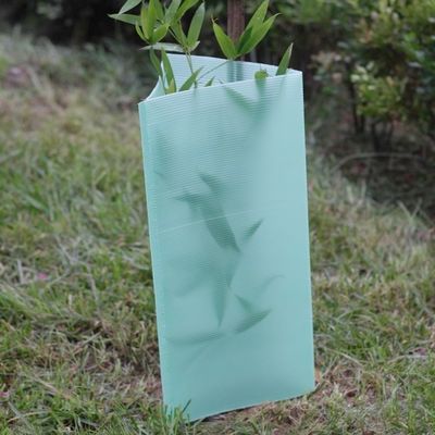 3mm Πράσινο Πλαστικό Corflute Tree Guards UV Protector Αδιάβροχο