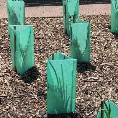 3mm Πράσινο Πλαστικό Corflute Tree Guards UV Protector Αδιάβροχο