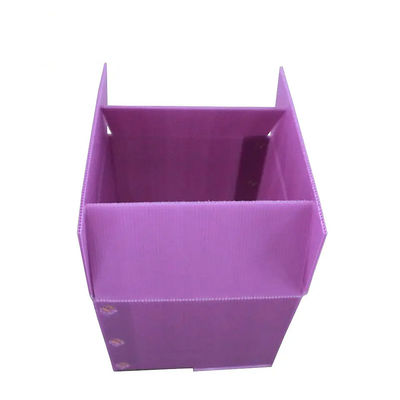 Eco-Friendly and Durable The PP Corrugated Plastic Vegetable Packaging Box