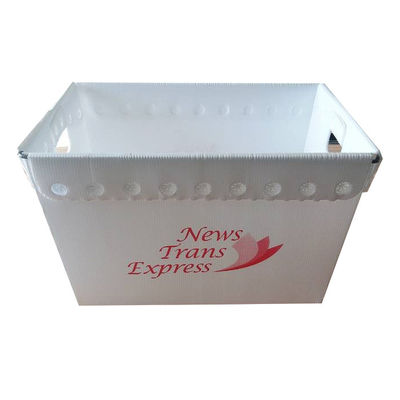 Ελαφρύ PP Corflute Mail Tote Προσαρμοσμένο Αδιάβροχο κυματοειδές πλαστικό κουτί