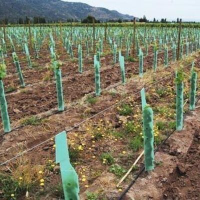Το PP Tree Guard είναι ελαφρύ, ανθεκτικό, αδιάβροχο και εύκολο στην εγκατάσταση.